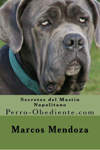 Libro: Secretos Del Mastin Napolitano: Perro-obediente (