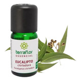 Óleo Essencial Eucalipto Citriodora Terraflor 10ml