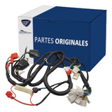 Arnes Principal D150, X150d Italika Original (f06050185)