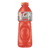 Isotônico Gatorade Frutas Cítricas Garrafa 500ml Idim