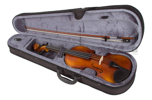 Violino Stagg Vn 4/4 Solid Maple Com Soft Case