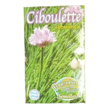 Semillas Huerta Ecoproductos Ciboulette