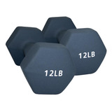 Pesas Mancuernas 12 Lb Set X 2 Unidades Ejercicios Gym