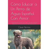 Como Educar A Un Perro De Agua Español Con Amor: Adiestramie