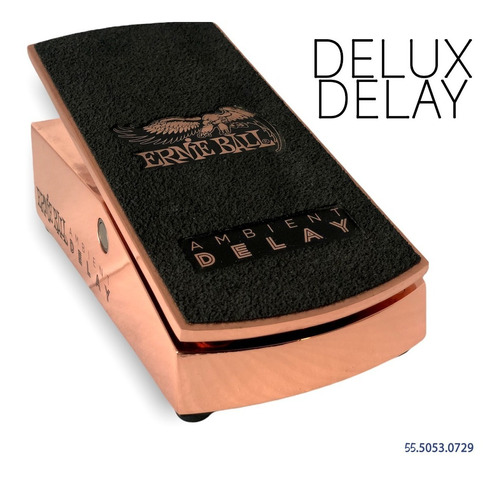 Ambient Delay Pedal Ernie Ball Expression