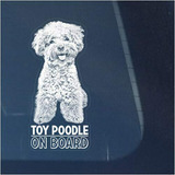 Toy Poodle - Adhesivo De Vinilo Transparente Para Ventana, D