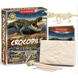 Dinosaurio Fossil Dig Kit,desenterra Fósiles Reales