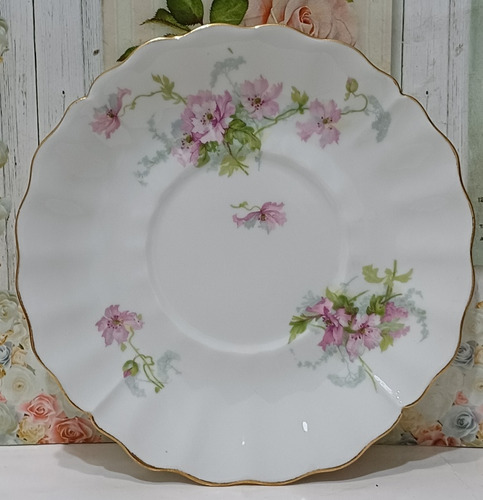 Plato De Porcelana Limoges 