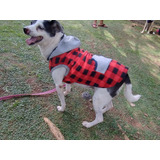 Roupa Inverno Para Cachorro Porte Grande Suerter Quentinho