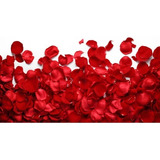 2.600 Pétalas De Rosas Artificiais Vermelha Casamento Noivas