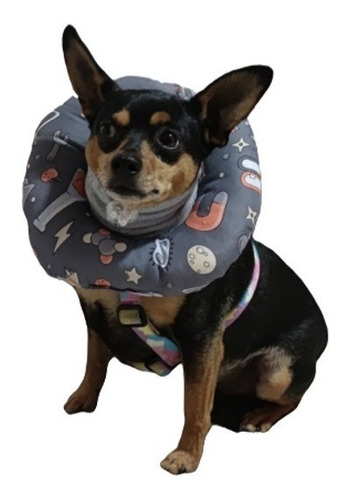 Collar Isabelino Cojin Dona Gatos Perros Mascotas Antifluido