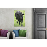 Cuadro Canvas Vaca Animales Campo Pasto Funny M3