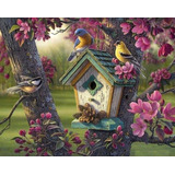 Diamond Painting Diy 5d Casita De Pajaro