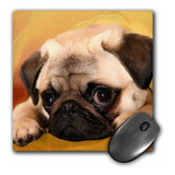 Alfombrilla De Raton 3drose Llc, 8 X 8 X 0.25 Pulgadas, Pug