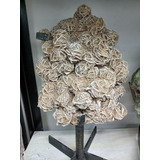 Rosa Del Desierto Especímen 3.3 Kg Piedra Mineral Selenita