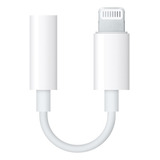 Adaptador Convertidor Entrada Lightning Salida Plug Ramitech