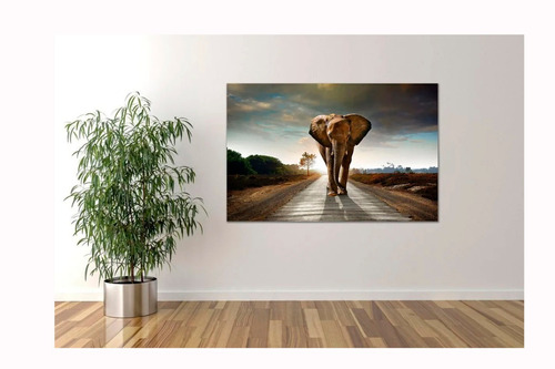 Cuadro Elefante En Carretera, Lienzo, Canvas 90x140cm