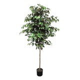 Plantas Artificiales  Árbol De Ficus Artificial Pertivery, Á