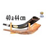 Shofar De Chifre De Cabra Italiana + Suporte 