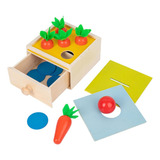 Materiales Montessori Caja De Permanencia De Objetos Caja De