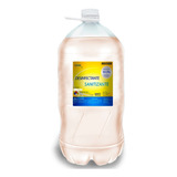 Sanitizante Para Tapetes Liquido Desinfecta Zapatos 10litros