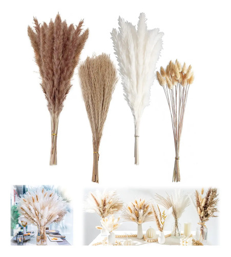 100 Pzs Pampas Secas Naturales Decoracion Hogar Estilo Boho | MercadoLibre