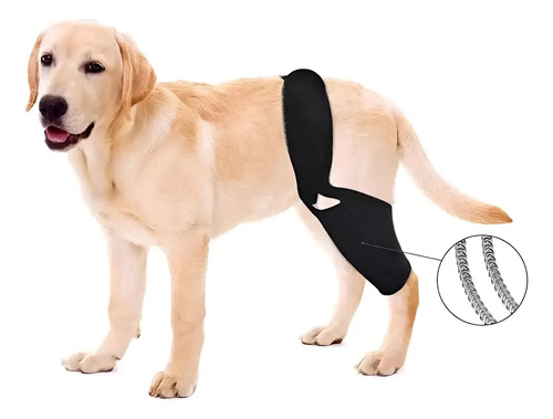 Rodillera Para Perro Para Apoyo Lesiones Ligamento Cruzado