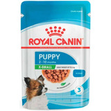 Ração Úmida Royal Canin X-small Puppy Cães 2 A 10 Meses 85 G