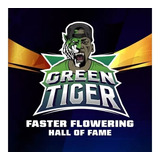 Semillas Greentiger  Faster (x12) Bsf Seeds /floracion 6 Sem