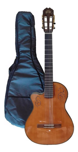 Guitarra Electrocriolla La Alpujarra Modelo 300kinkz + Funda