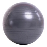 Balon Fisiologico 65 Cm Pelota Esferodinamia Fit Ball