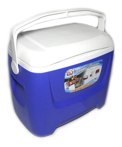 Heladera Conservadora Personal Igloo (26 Lts) Portatil