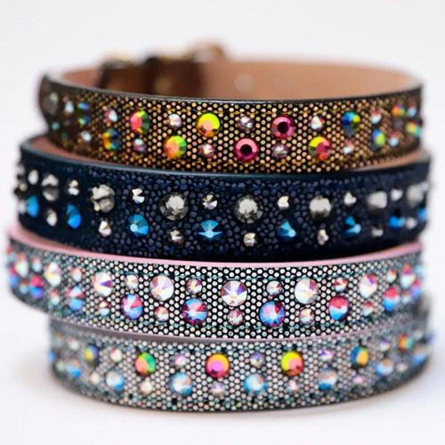 Collar Piel Perro Cristales Brillos Joyería Placa Talla M