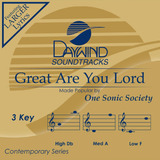 Cd: Great Are You Lord [accompaniment/performance Track]