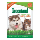 Pack X 5u Semillas Hierba Gatera Gatos Perros 100g Greenland