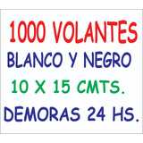 1000 Volantes 10x15 Bn Oferta ,diseño Sin Cargo En 24 Hs