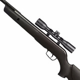 Rifle Aire Comprimido Gamo Big Cat 1250 Con Mira Gamo 4x32