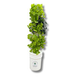 Sistema Hidropónico Vertical 20 Plantas