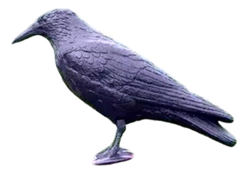 Cuervo Raven Ahuyenta Palomas Originales Zona De Liniers