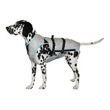 Suitical Dry Cooling Vest Para Su Perro Pequeno