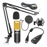Kit Radio Streaming Microfono Condenser Placa Usb Cuo