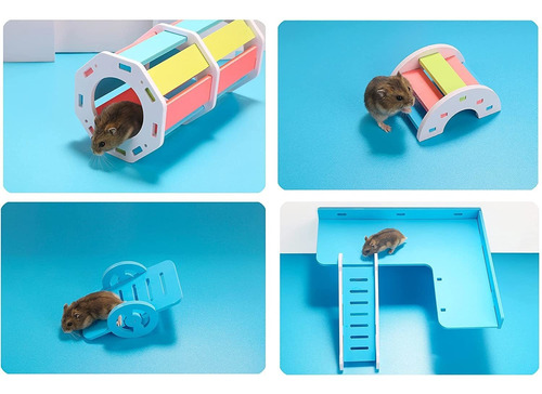 Rainbow Hamster Juguetes Enanos Plataforma De Hámsteres De M