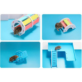 Rainbow Hamster Juguetes Enanos Plataforma De Hámsteres De M