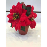 Kit 2 Vaso Pequeno Flor De Natal Vermelha Bico De Papagaio