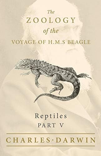 Reptiles - Part V - The Zoology Of The Voyage Of H.m.s Beagle ; Under The Command Of Captain Fitzroy - During The Years 1832 To, De Bell, Thomas. Editorial White Press, Tapa Blanda En Inglés