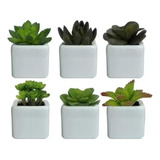 Kit 3 Vasos Vasinhos Para Cultivo De Suculentas Cactos Decor