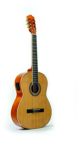 Guitarra Electroacústica Deviser L310 Profesional, Funda