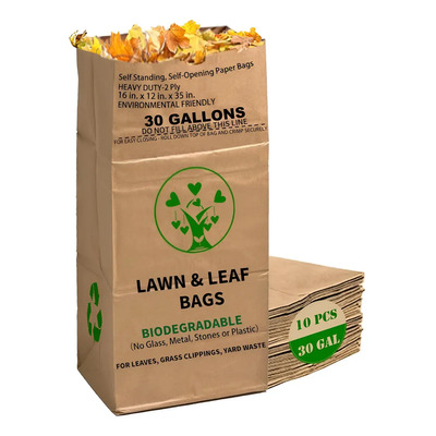 Bolsas Papel Craft 2 Capas 30 Galones Biodegradable 10pzs Kraft