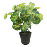 Planta Artificial Interior Decoracion 35 Cm Con Maceta