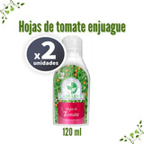 Hojas De Tomate Enjuague X2